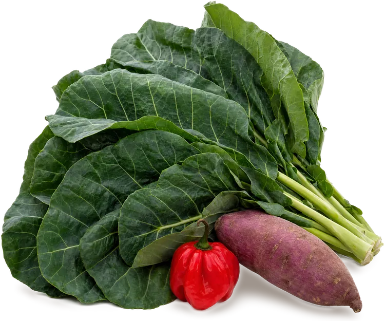 Collard leaf, red pepper, tomatillo, and purple sweet potato